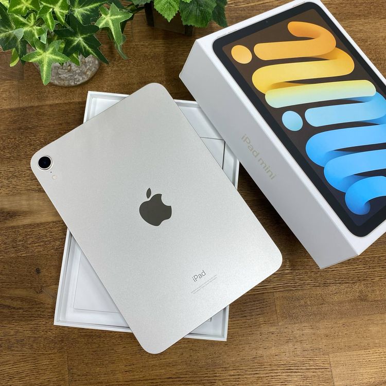 iPad Mini裶 64Gb 饤 Wifi ǥ ̵
