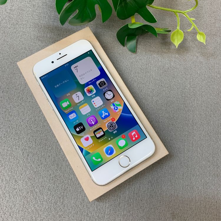 iPhone 8 64GB �ۥ磻�� ������ SIM�ե꡼����̵��