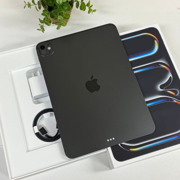 ����Ʊ�� iPad Pro M5 11����� 256GB 2025ǯ Wi-Fi��ǥ� ����̵��