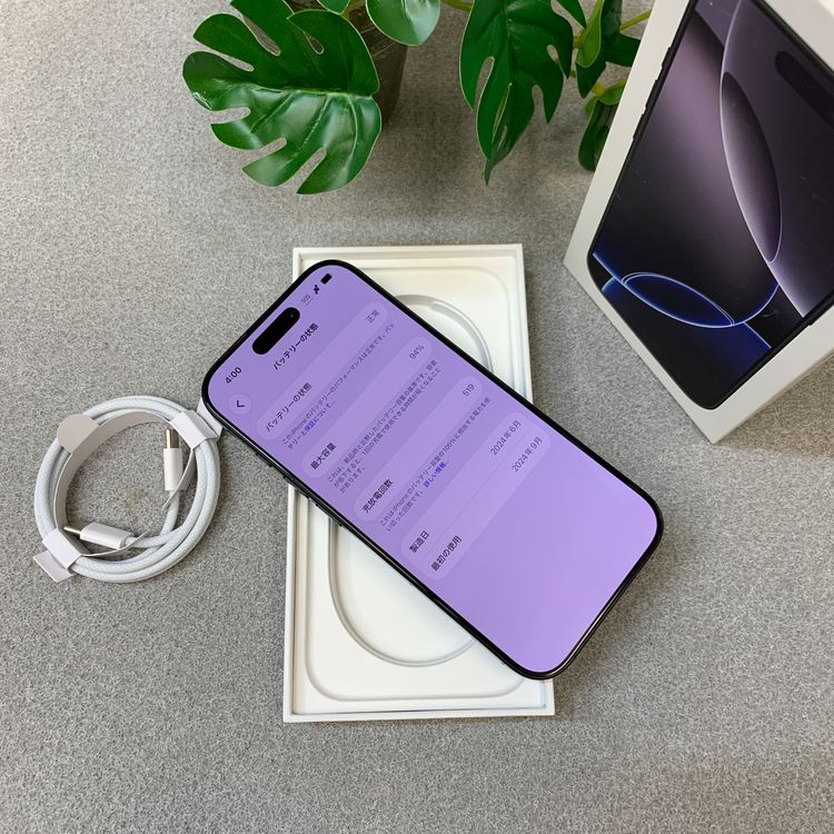 �Хåƥ꡼94% iPhone16 Pro 256GB �֥�å� ������ SIM�ե꡼