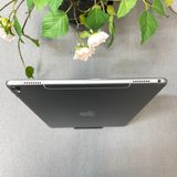 iPad Pro 10.5����� 64GB Wi-Fi + Cellular��ǥ� SIM�ե꡼