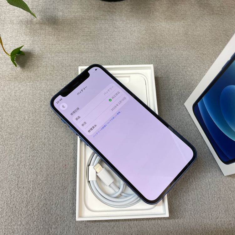 ����Ʊ�� iPhone12 mini 128GB �֥롼 ������ SIM�ե꡼ ����̵��