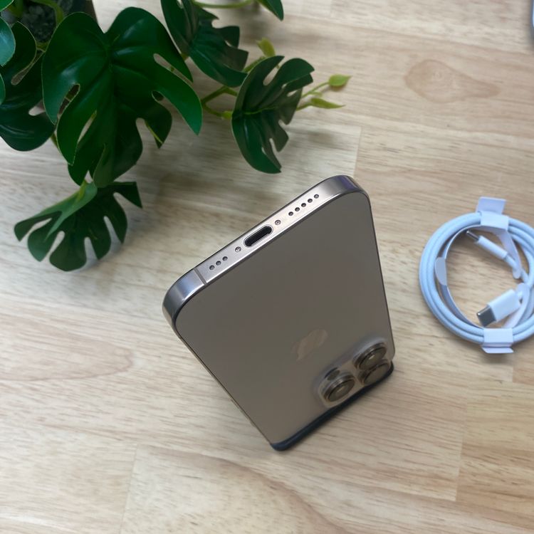 iPhone16Pro 1TB �ǥ����� ������ SIM�ե꡼ ����̵��
