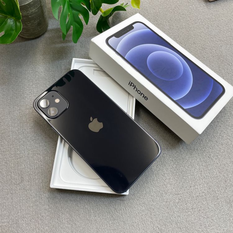�Хåƥ꡼ 83% iPhone 12 256Gb �֥�å� ������ SIM�ե꡼
