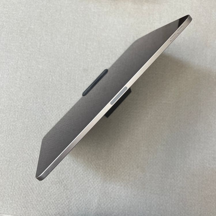 �Хåƥ꡼96��iPad Pro 11�����(��4����˥��ڡ������쥤 256GB Wi-Fi��ǥ�