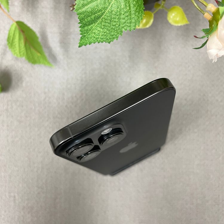 iPhone16ProMax 1TB ֥åSIMե꡼̵