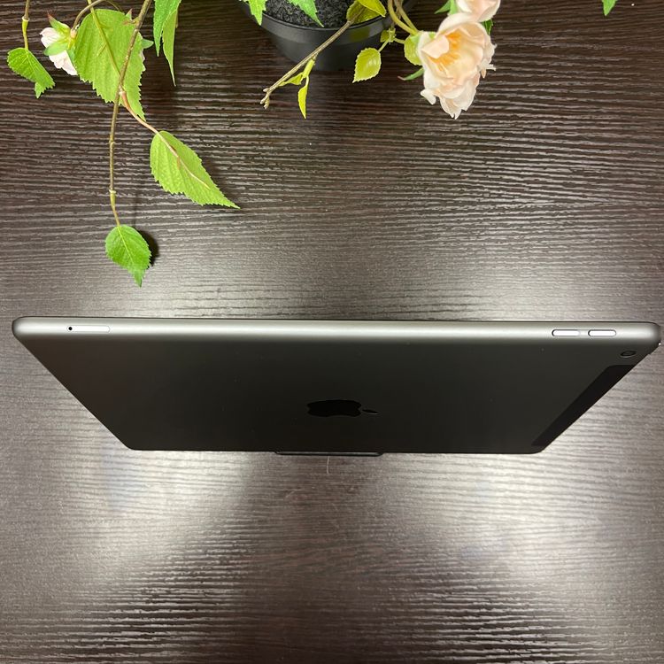 Ʊ iPad 裹 256GB 10.2 Wi-Fi + Cellularǥ