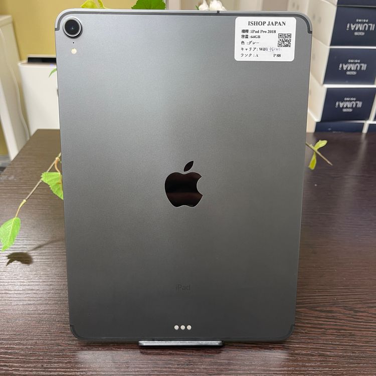 iPad Pro 11 64GB ڡ쥤 Wi-Fi + Cellularǥ