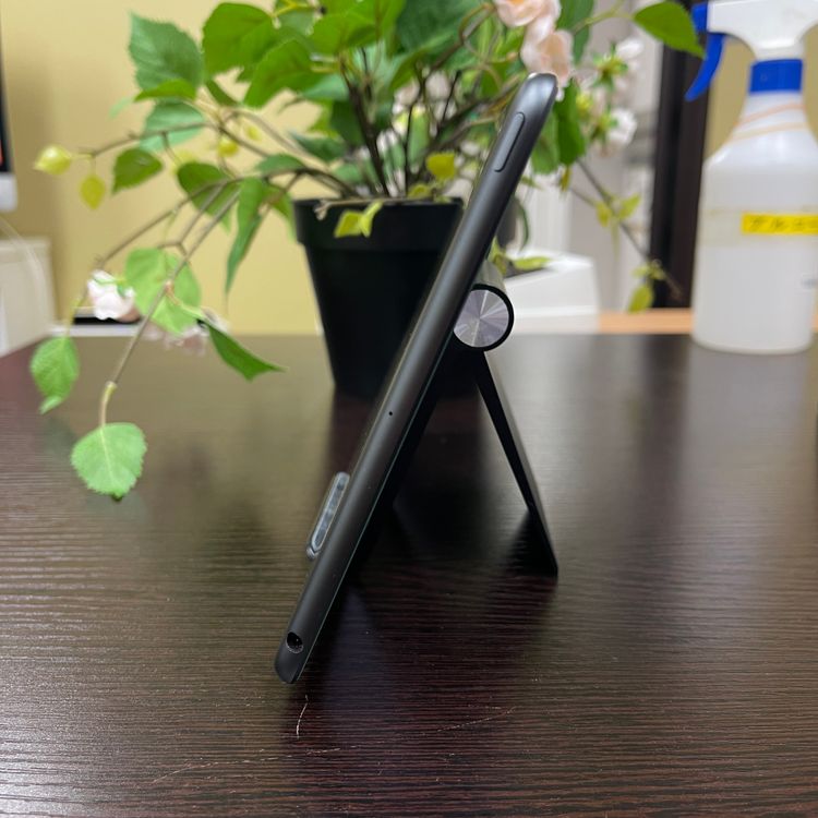 iPad mini 5 ڡ쥤 64Gb Wi-Fiǥ ̵