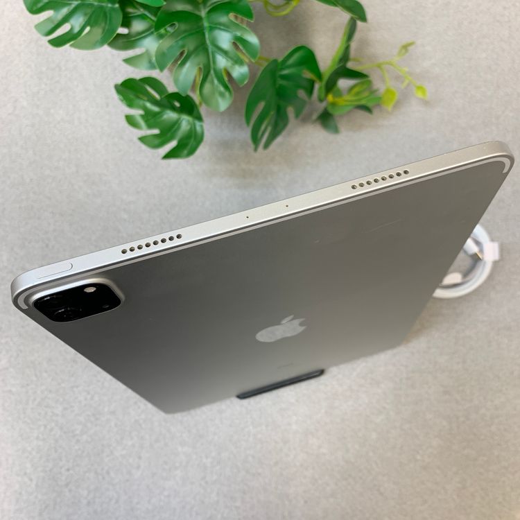 iPad Pro 11���������3�����128GB Wi-Fi��ǥ롡ȯ��̵��