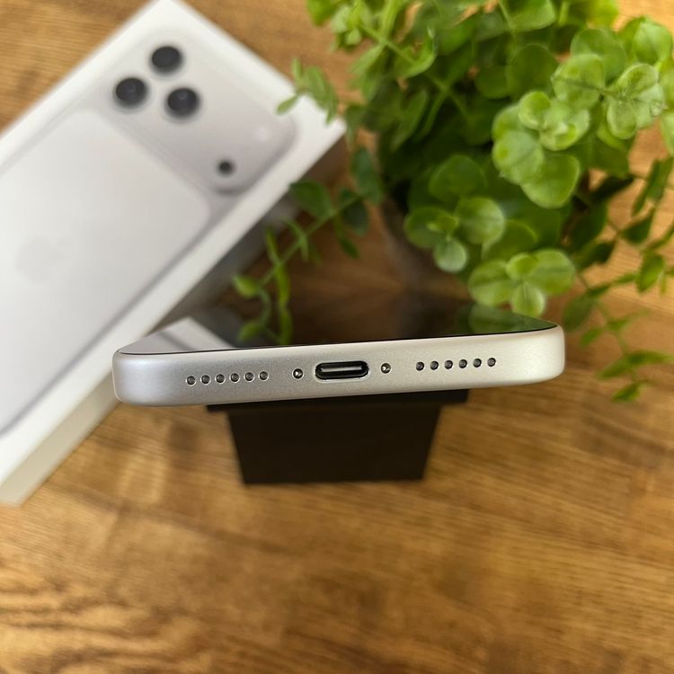 �Хåƥ꡼ 100% iPhone17 ProMax 256GB ����С� ������SIM�ե꡼