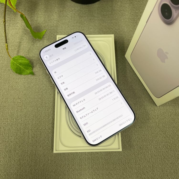 iPhone 17 256GB ٥ Apple SIMե꡼ ̵