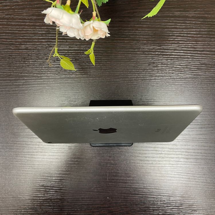 iPad mini 4 128GB С Wi-Fi ǥ ̵
