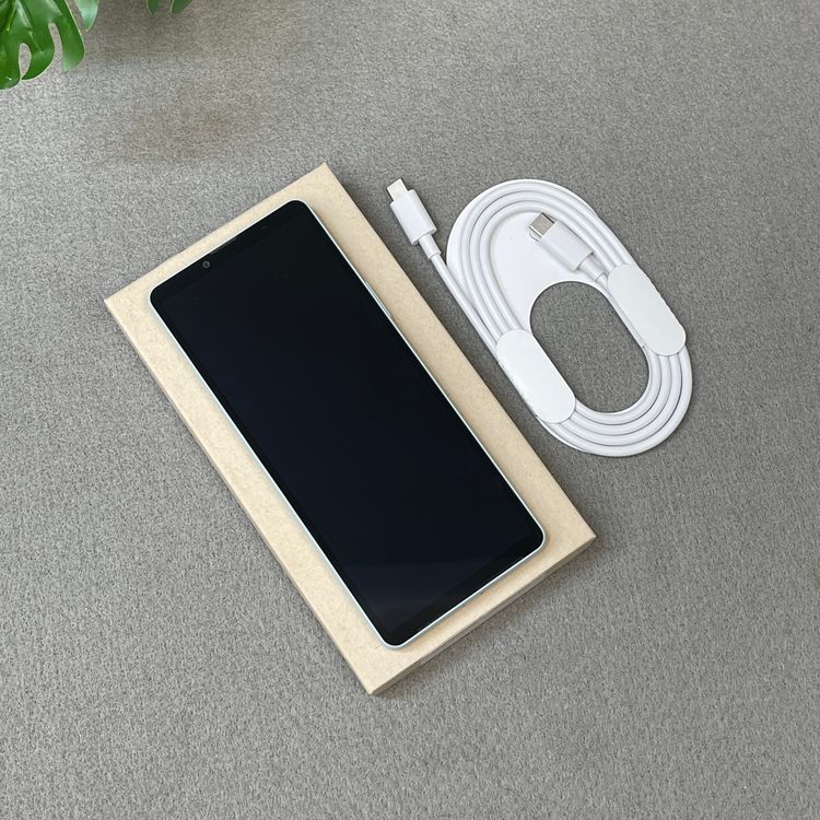 Xperia 10VI 128GB �֥롼 SO-52E �ɥ����� SIM�ե꡼ ����̵��
