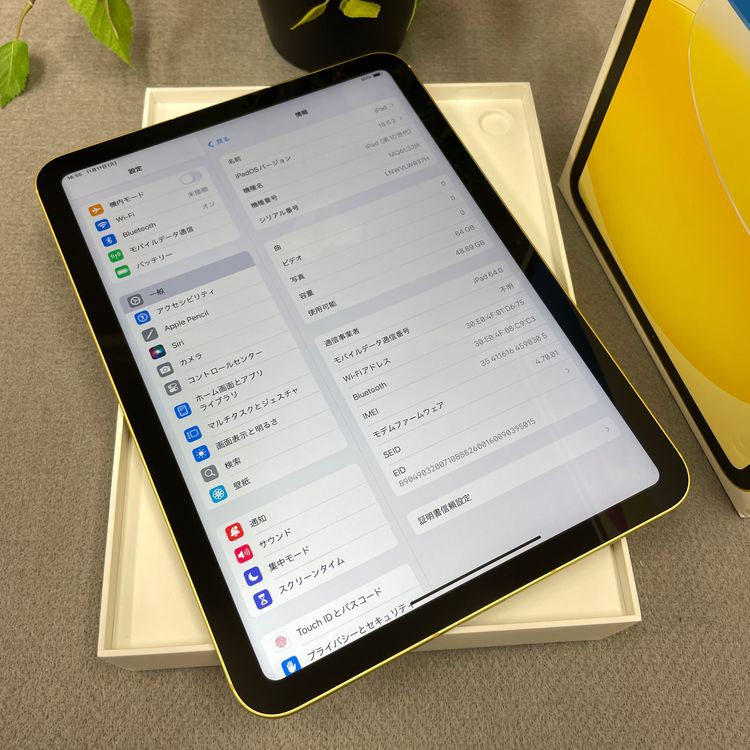 iPad(10) 64GB  Wi-Fi + Cellularǥ