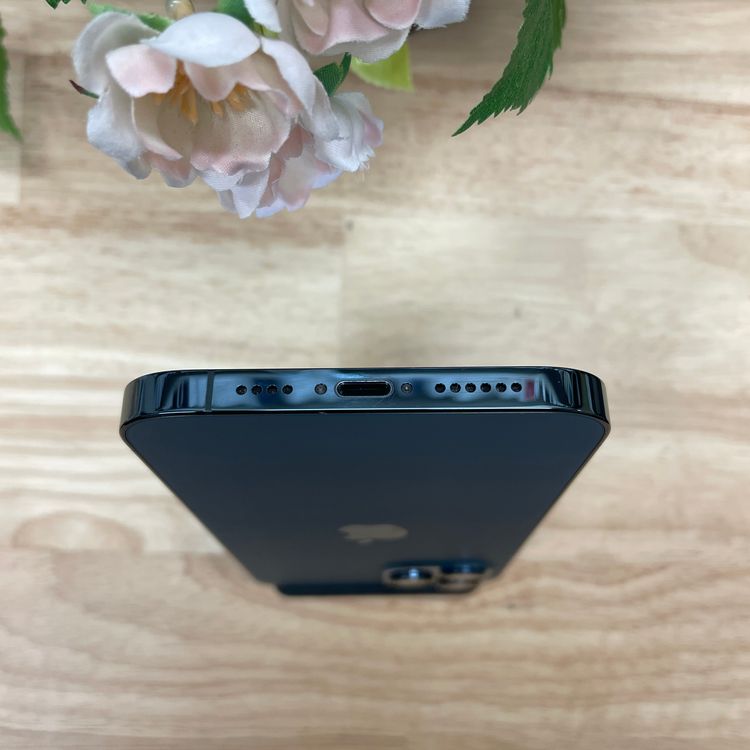 iPhone12 Pro Max 256Gb ֥롼 SIMե꡼ ̵