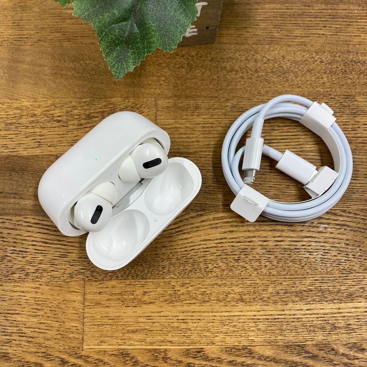AirPods Pro����1����ˡ��ۥ磻�� ����̵ ELKKT