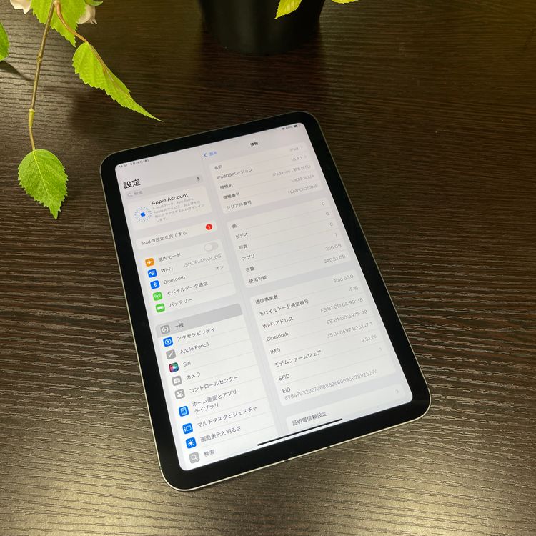iPad mini 6 ڡ쥤 256GB Wi-Fi + Cellularǥ