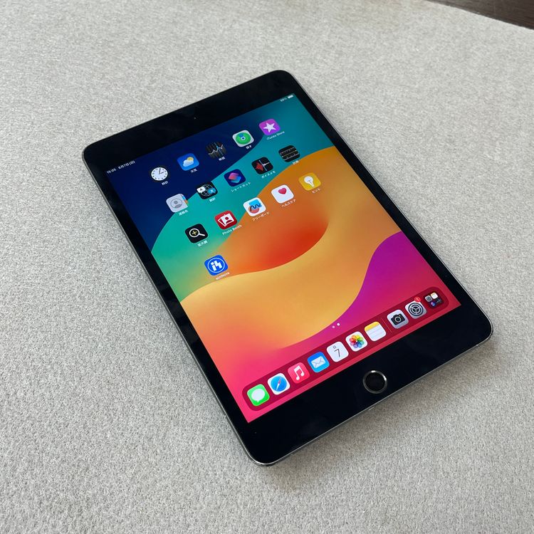 iPad mini 5 ���ڡ������쥤 64Gb Wi-Fi + Cellular��ǥ� ����̵��