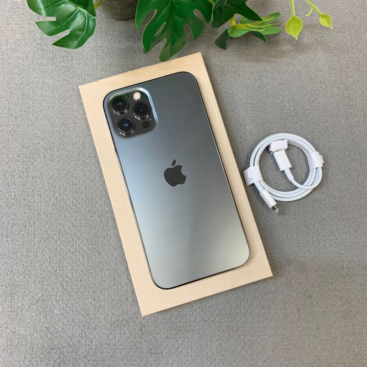 �Хåƥ꡼ 100�� iPhone12 ProMax 256Gb ����SIM�ե꡼ ����̵��