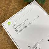 ���ʡ�̤���� iPad Mini A17Pro 256GB ���졼 WiFi + Cellular