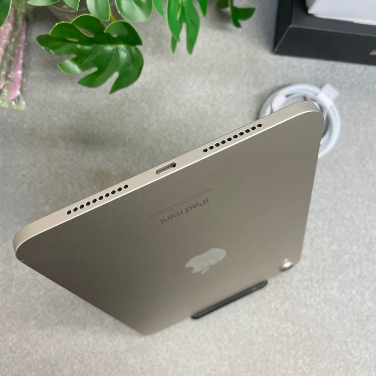 �Хåƥ꡼ 100�� iPad Mini (A17 Pro) 256GB �������饤�� Wi-Fi��
