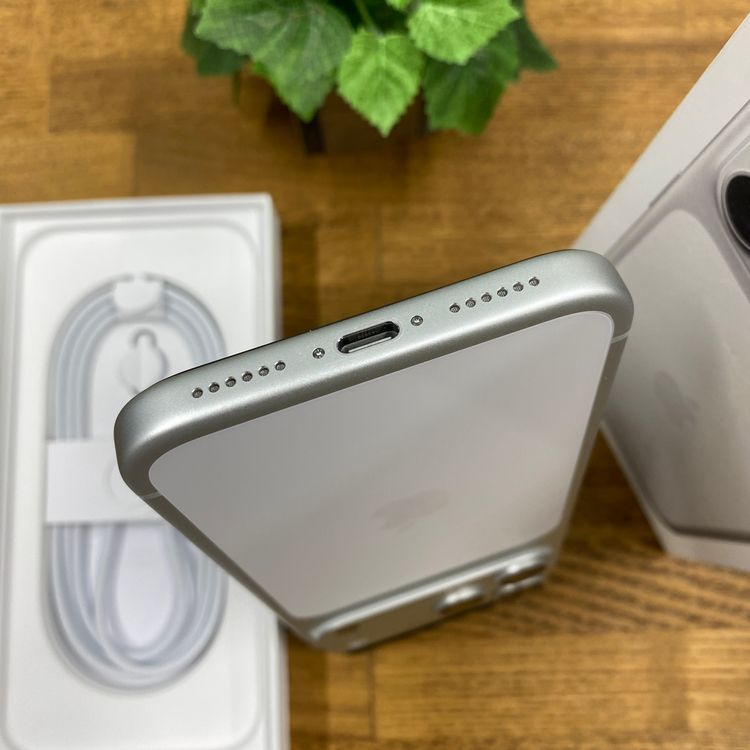�Хåƥ꡼100% iPhone 17ProMax 256GB ����С� ������ SIM�ե꡼