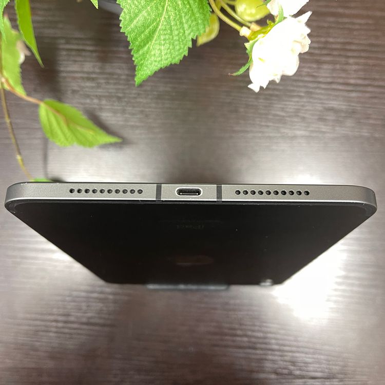 iPad Mini 6 64GB Wifi + Cellular SIMե꡼ ̵