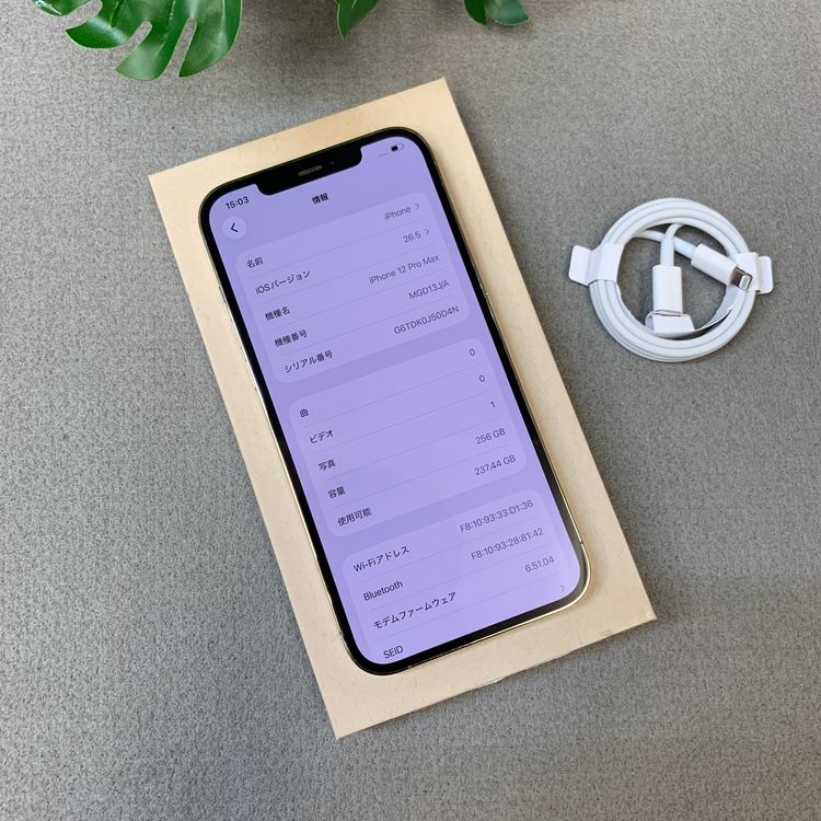 �Хåƥ꡼ 98�� iPhone12 ProMax 256Gb ������� ����SIM�ե꡼ ����̵��
