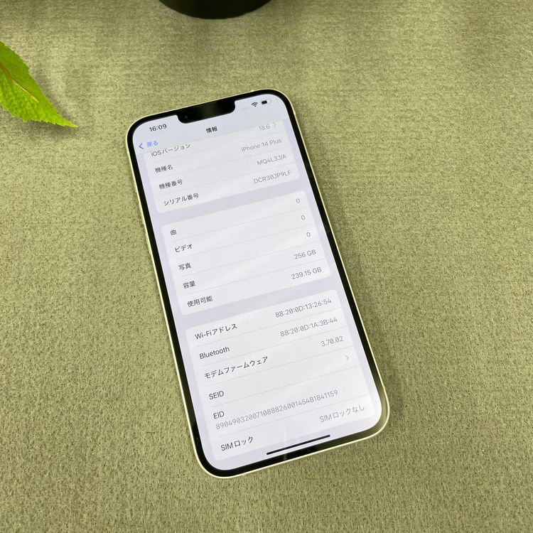 iPhone14 Plus 256GB 饤 SIMե꡼ ̵