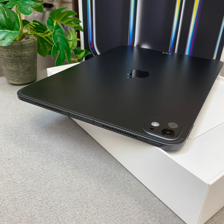 ����Ʊ�� iPad Pro 11����� M5���å� 256GB WiFi + Cellular