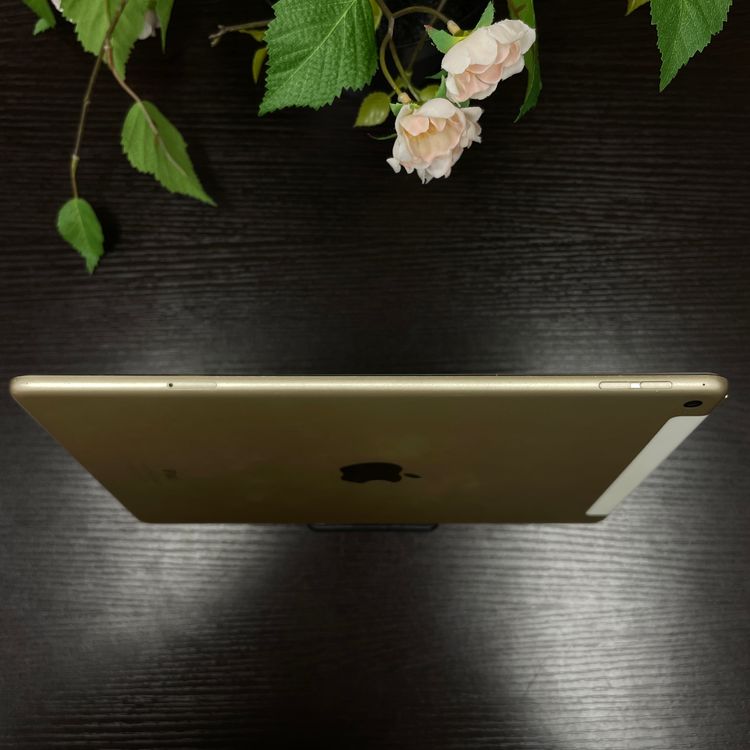 iPad Air 2  16GB Wi-Fi + Cellularǥ