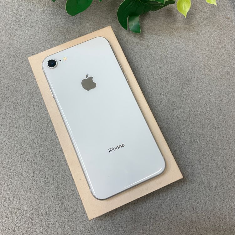 iPhone 8 64GB �ۥ磻�� ������ SIM�ե꡼����̵��