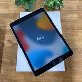 ʡ̤ iPad 9 256Gb С WiFi + Cellular