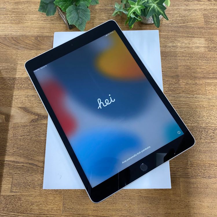 ʡ̤ iPad 9 256Gb С WiFi + Cellular