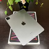 iPad Pro 114128GB ڡ쥤 ̵