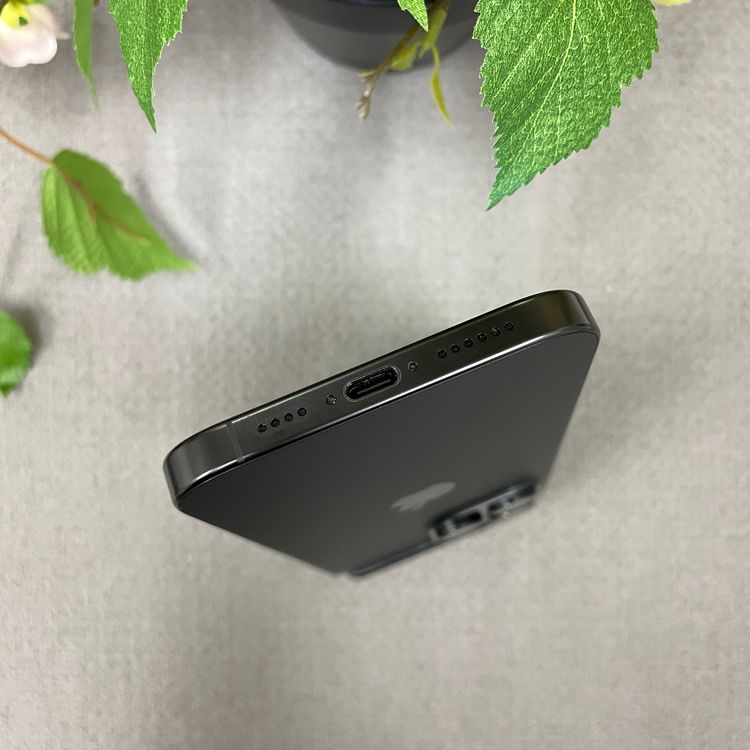 iPhone16ProMax 256GB �֥�å� ������SIM�ե꡼����̵��