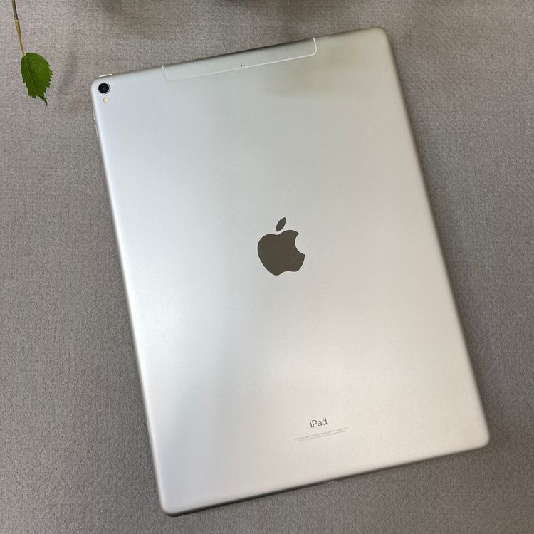 iPad Pro 12.9���������2�����256GB  Wi-Fi + Cellular��ǥ�