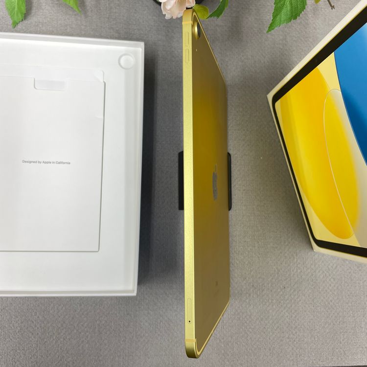 iPad(10) 64GB  Wi-Fi + Cellularǥ