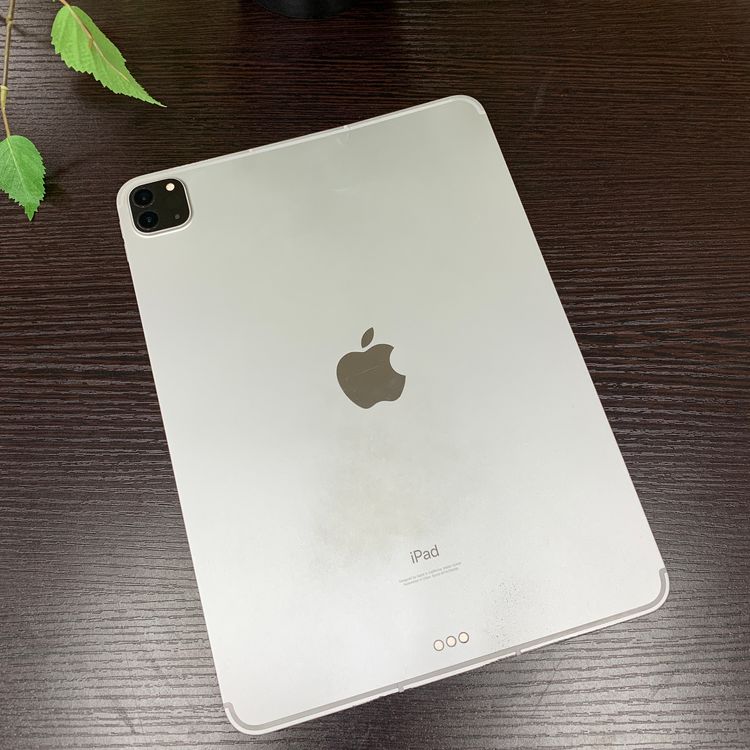 iPad Pro 113) 128GB Wi-Fi + Cellularǥ