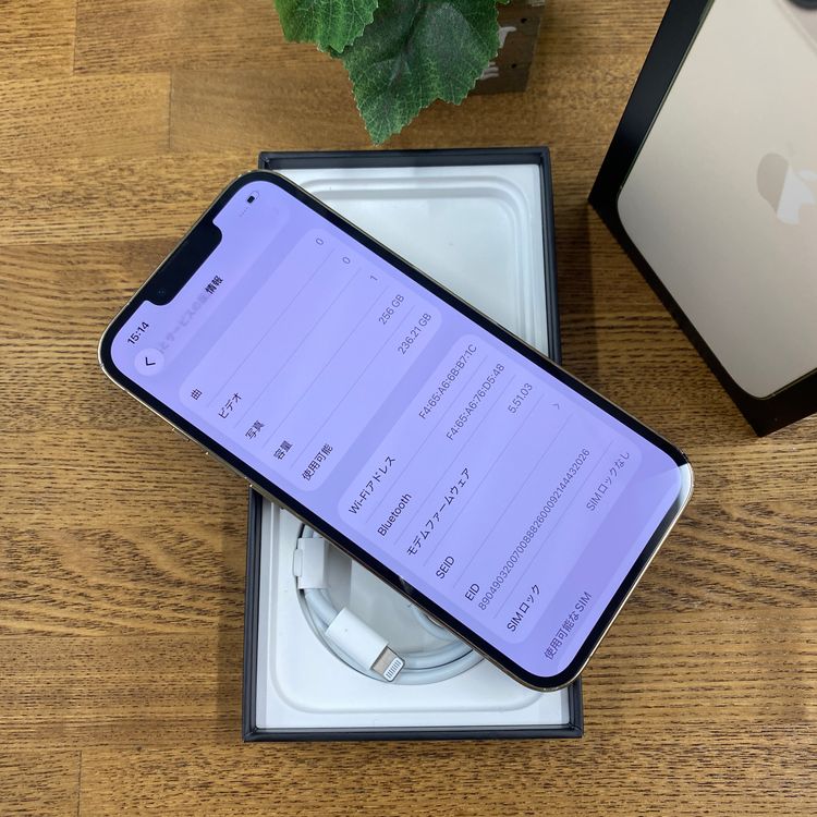 iPhone 13Pro 256GB ������� ����SIM�ե꡼ ����̵��