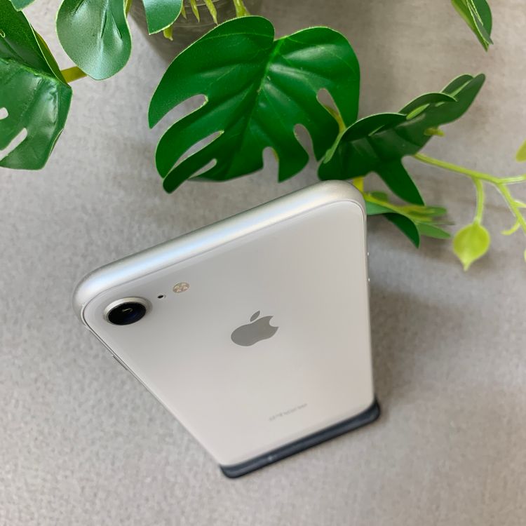 iPhone 8 64GB �ۥ磻�� ������ SIM�ե꡼����̵��