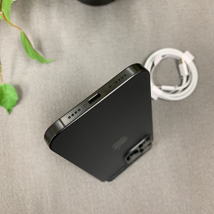 iPhone 15ProMax 256GB �֥�å� ������ SIM�ե꡼ ����̵��