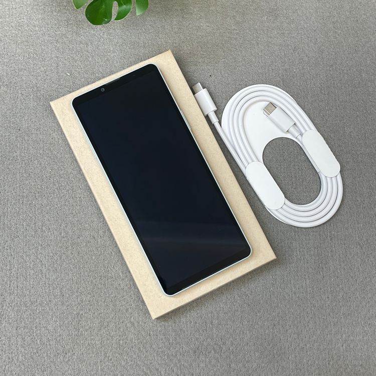Xperia 10VI 128GB �֥롼 SO-52E �ɥ����� SIM�ե꡼ ����̵��