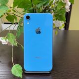 iPhone XR 128GB  ꡼SIMե꡼ ̵