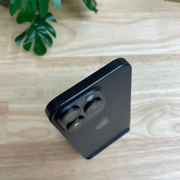 �Хåƥ�� 100% iPhone 15Pro 256GB �֥�å� ������ SIM�ե꡼����̵��