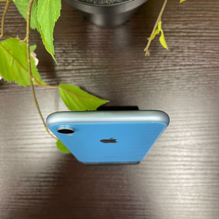 iPhone XR 128GB  ꡼SIMե꡼ ̵