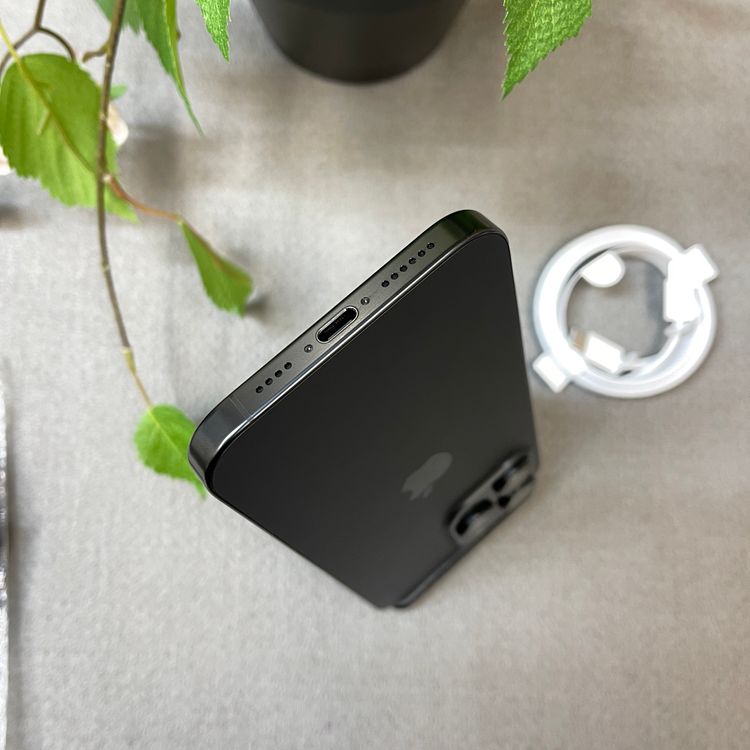 �Хåƥ꡼ 100% iPhone 16ProMax 256GB �֥�å� ������ SIM�ե꡼