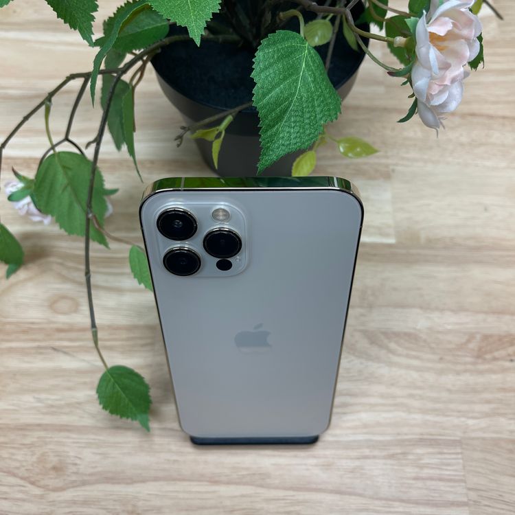 iPhone12 Pro Max 256Gb  SIMե꡼ ̵