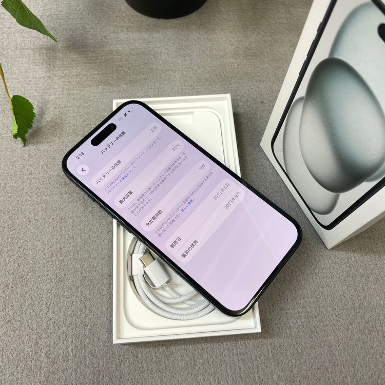 iPhone 15 128GB �֥�å� ������ SIM�ե꡼����̵��